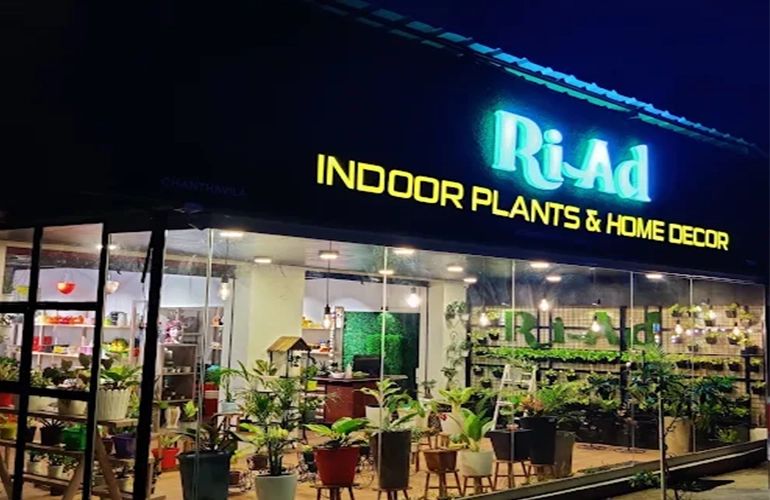 RiAd Indoor Plants &  Home Decor