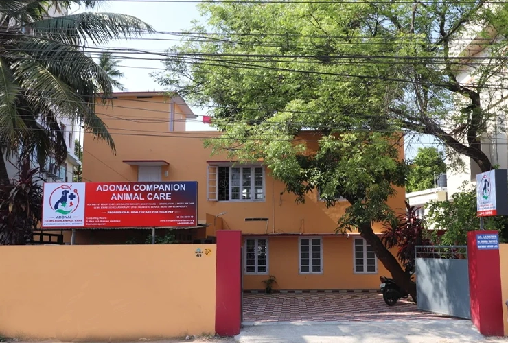 Adonai Companion Animal Care