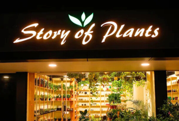 Story of plants