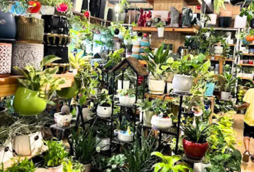 VIBAS Nursery & Gardens