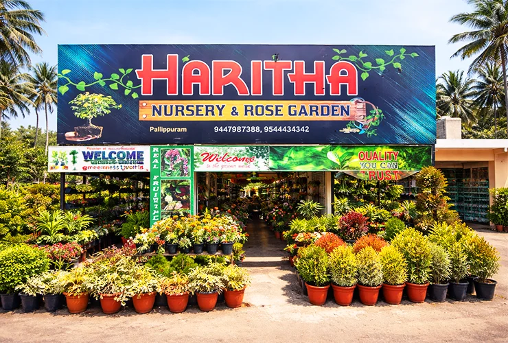 Haritha Nursery & Rose Garden