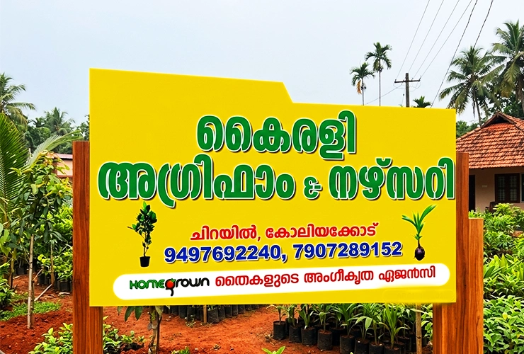 Kairali Agri Farm & Nursery