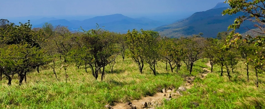 Best Tourist places in trivandrum