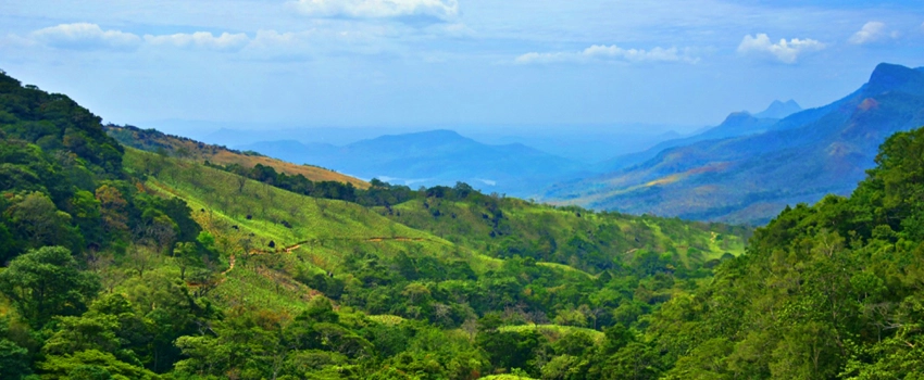 Agasthyarkoodam trekking trail