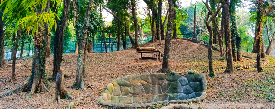 zoo animals in kerala | Best listing portal