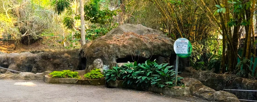 trivandrum zoo timings | Findin