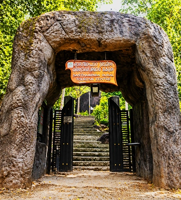 Sasthampara park and viewpoint Kerala 