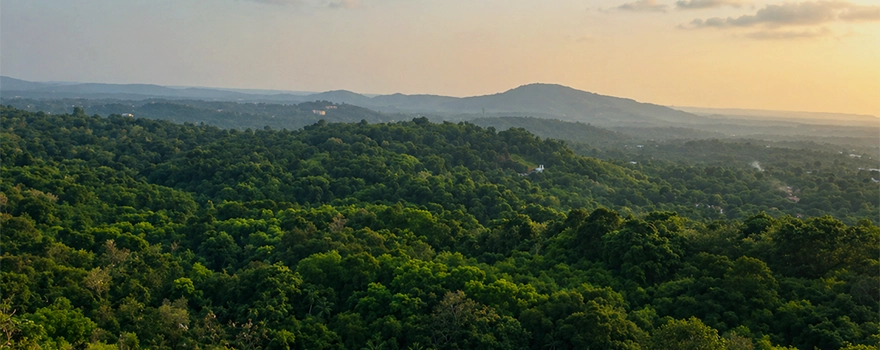 Sasthampara trekking path and rocky hill
